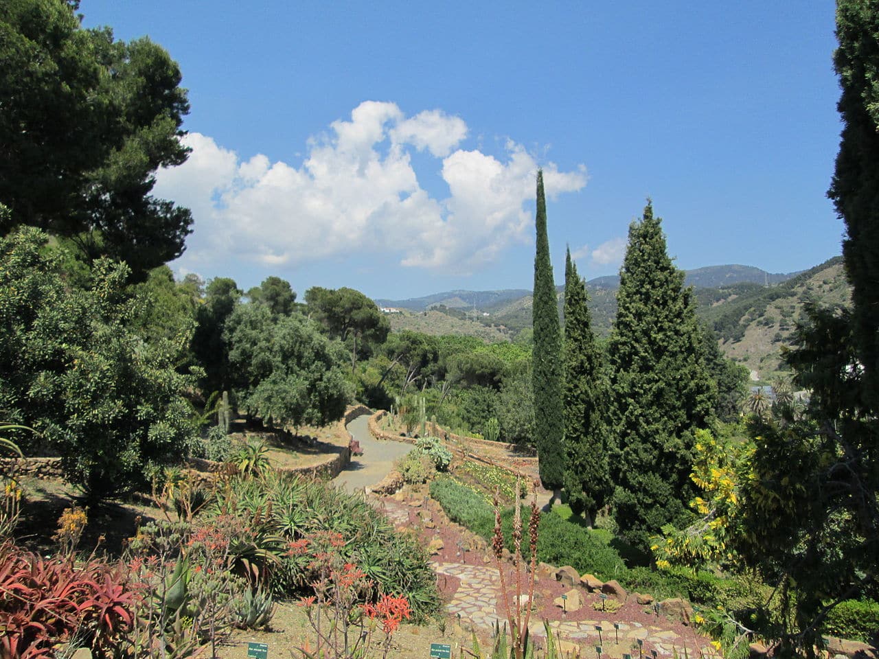 1 Jardin Botanico La Concepcion35.jpg