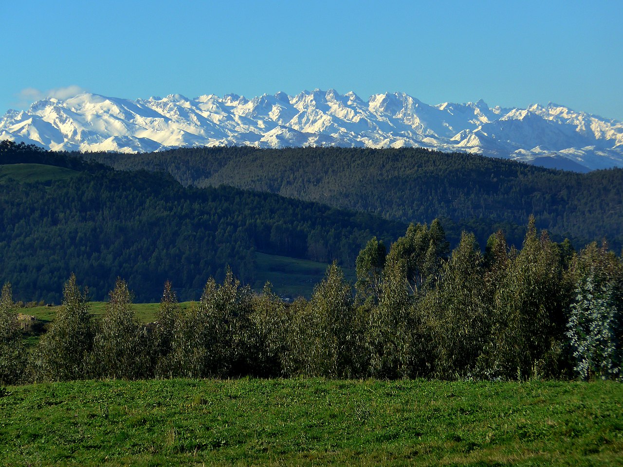 1 Picos de Europa.jpg