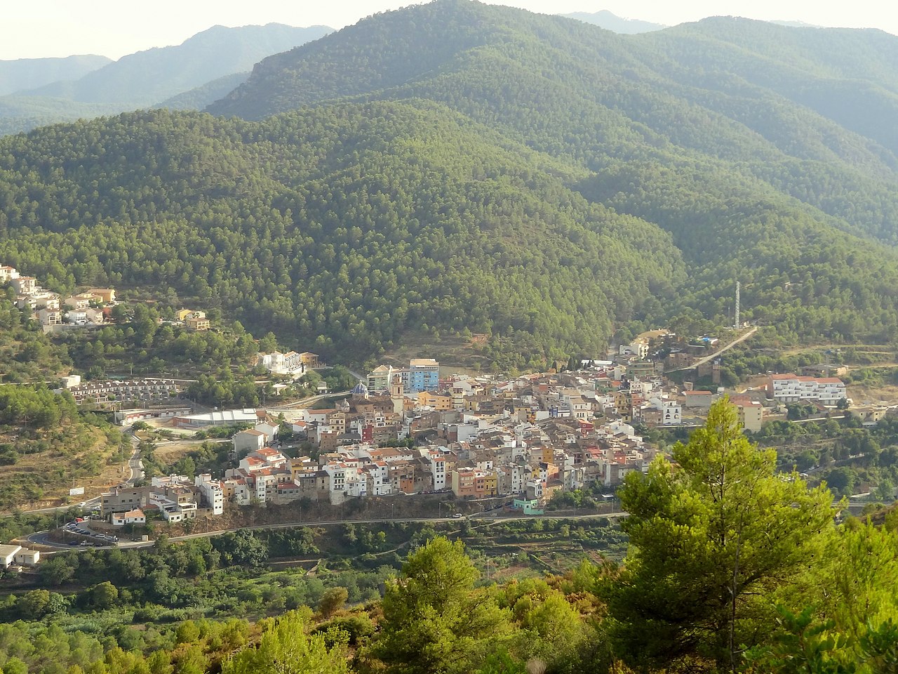 1 Sueras 1.jpg