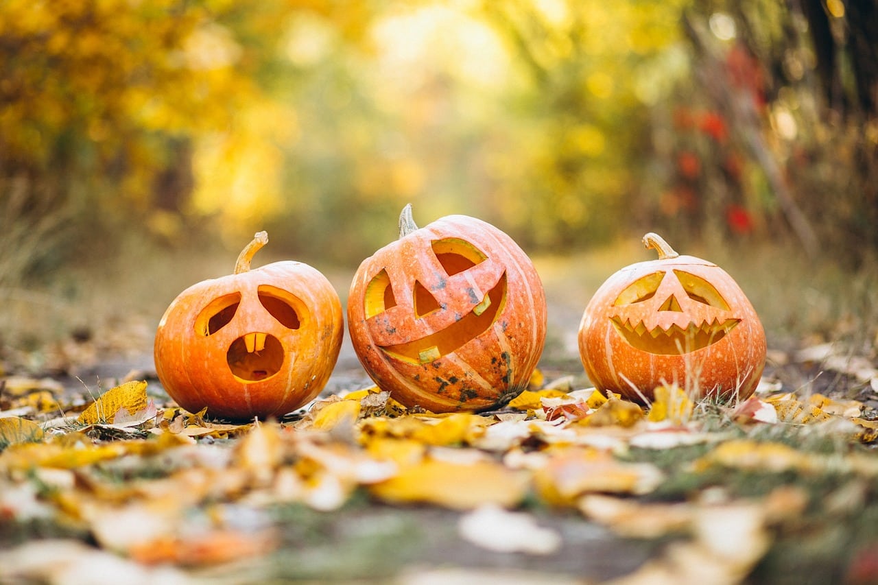 1 pumpkin 6720424 1280.jpg