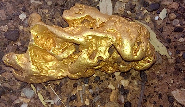 lucky aussie prospector finds massive 2kg gold nugget.jpg