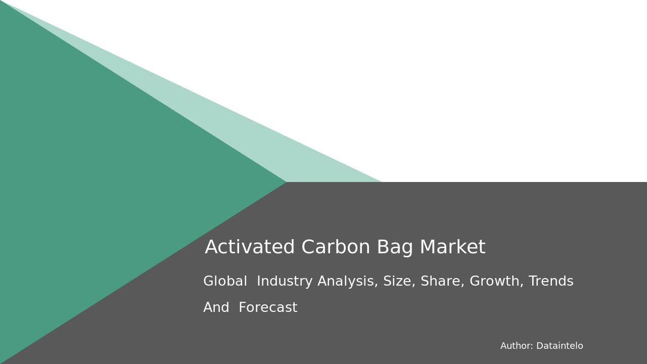 490279 Activated Carbon Bag Report Thumbnail