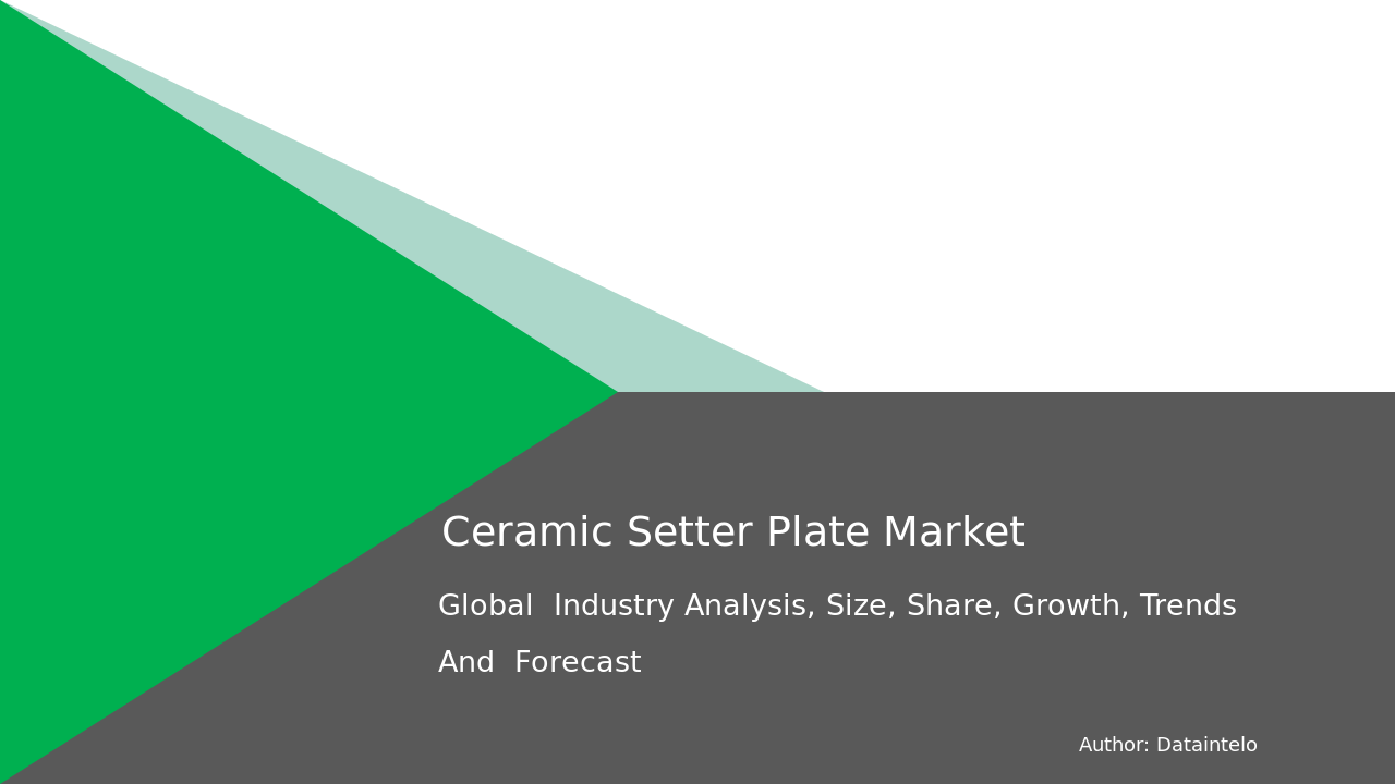 491018 Ceramic Setter Plate Report Thumbnail