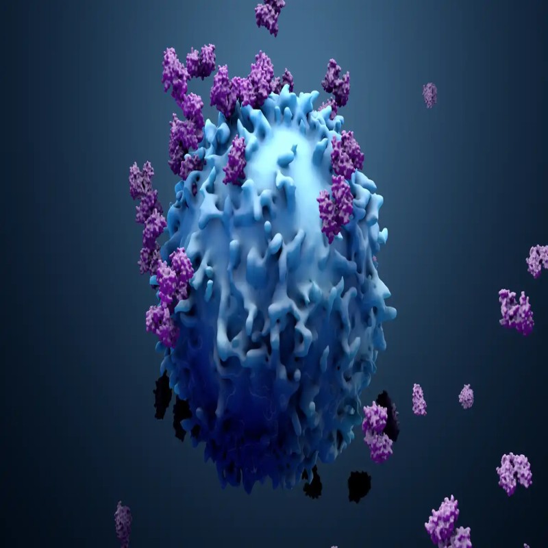 Cancer Cell Market