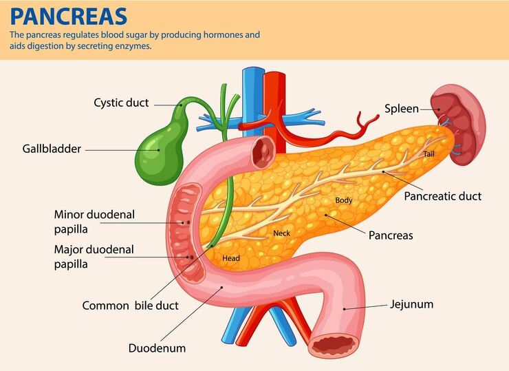 Gallblader removal surgery in delhi