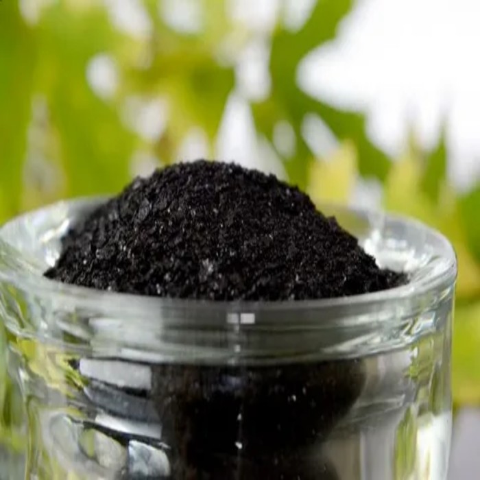 Humic Acid Market (1)
