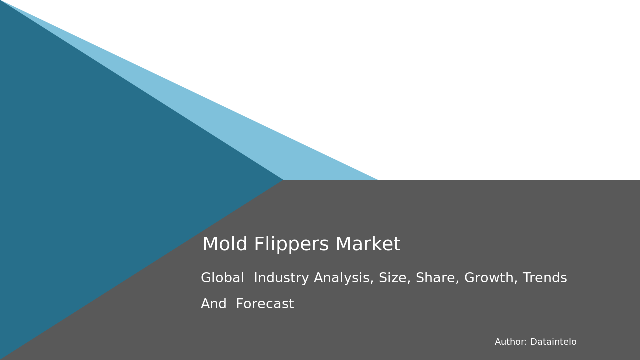 Mold Flippers Market