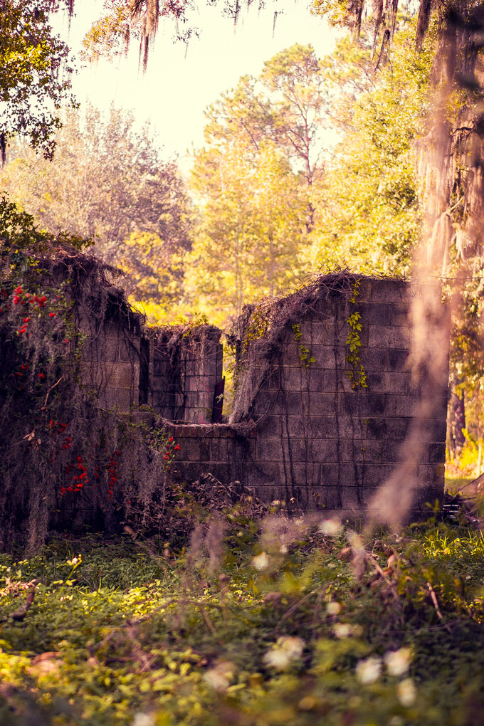 Savannah farm ruins V.jpg