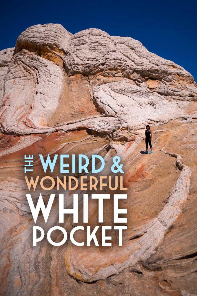 Weird and Wonderful White Pocket2.jpg