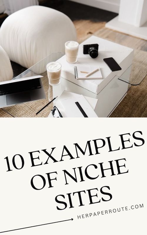 What Is a Niche Site 10 Examples.jpeg