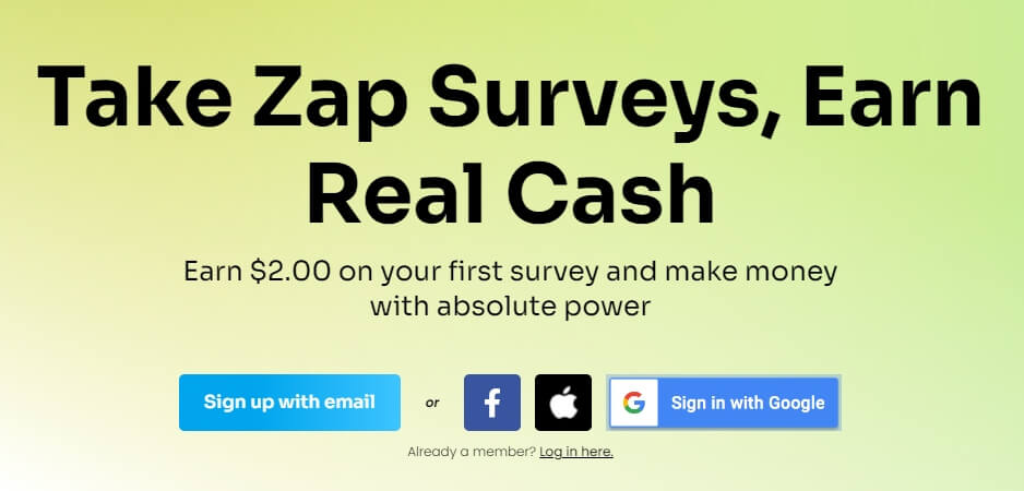 Zap Surveys.jpg