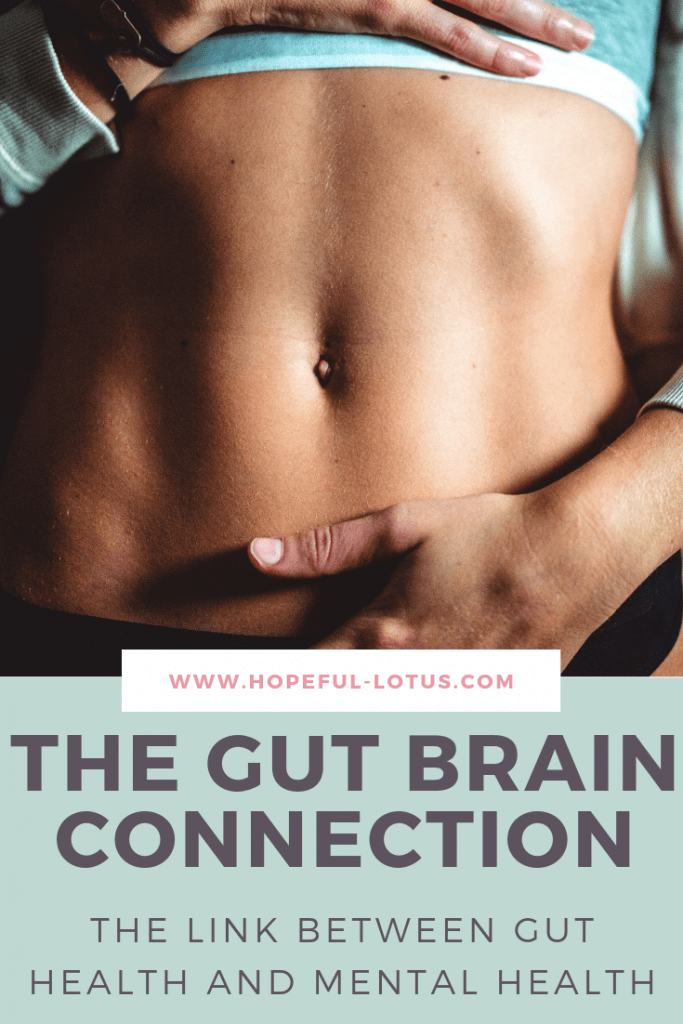 the gut brain connection mental health 683x1024.png