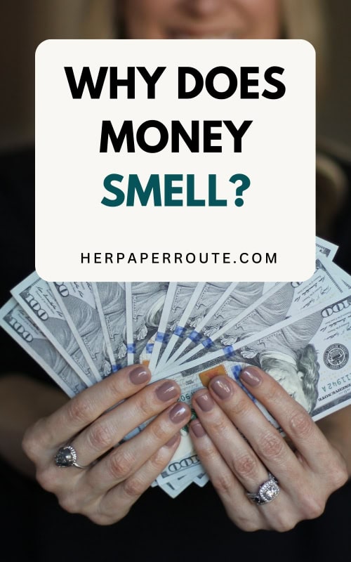 why does money smell.jpg