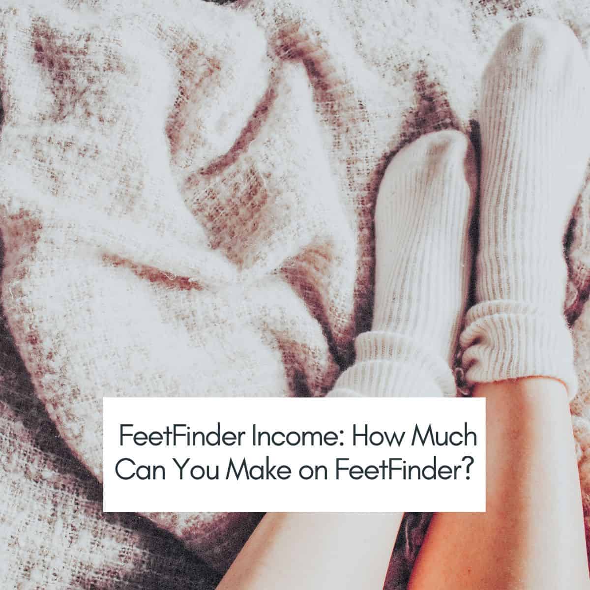 feetfinder income.jpg