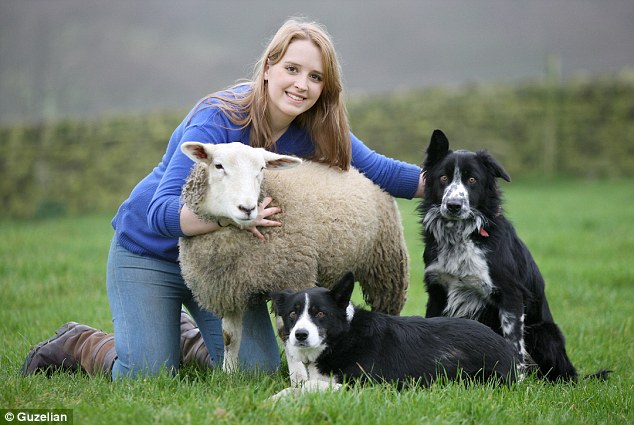 23A8717F00000578 2857284 Keith the sheep dog was taken in by 19 year old Anna Burton toge 67 1417518952294.jpg
