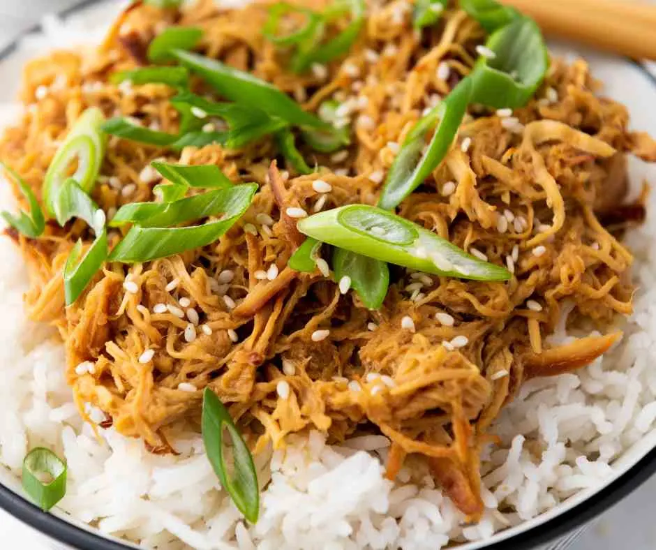 crockpot Chicken honey garlic.jpg.webp