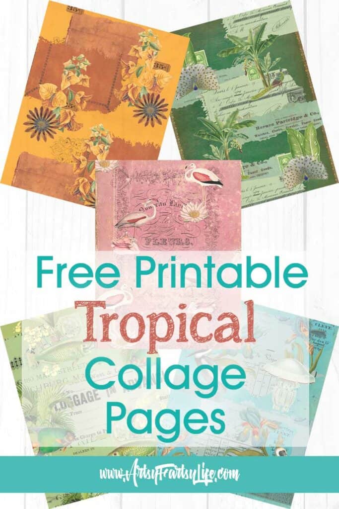 tropical collage page backgrounds girly 683x1024.jpg