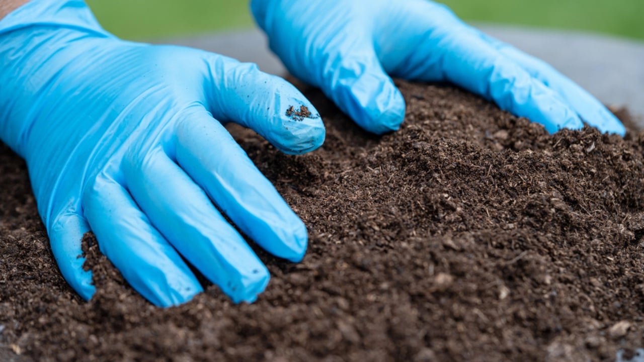hand holding soil dp575033890 dnoh.jpg