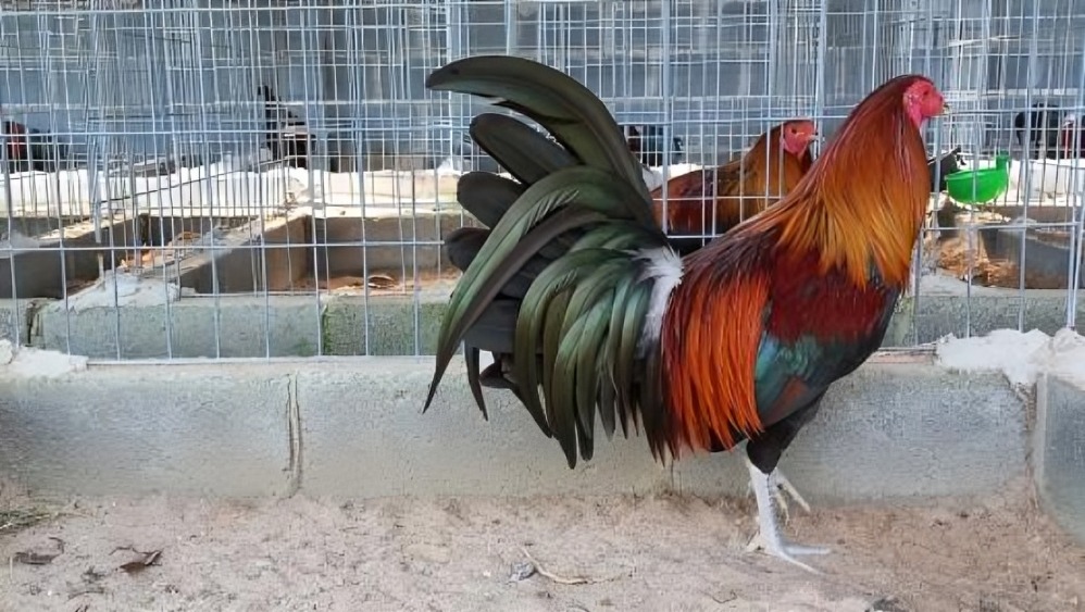 5. Ga Tre Sweater 1.jpg