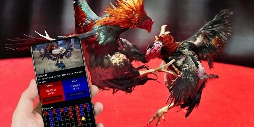 Cac loai cuoc pho bien trong Da Ga Livestream SV388 1024x512.jpg