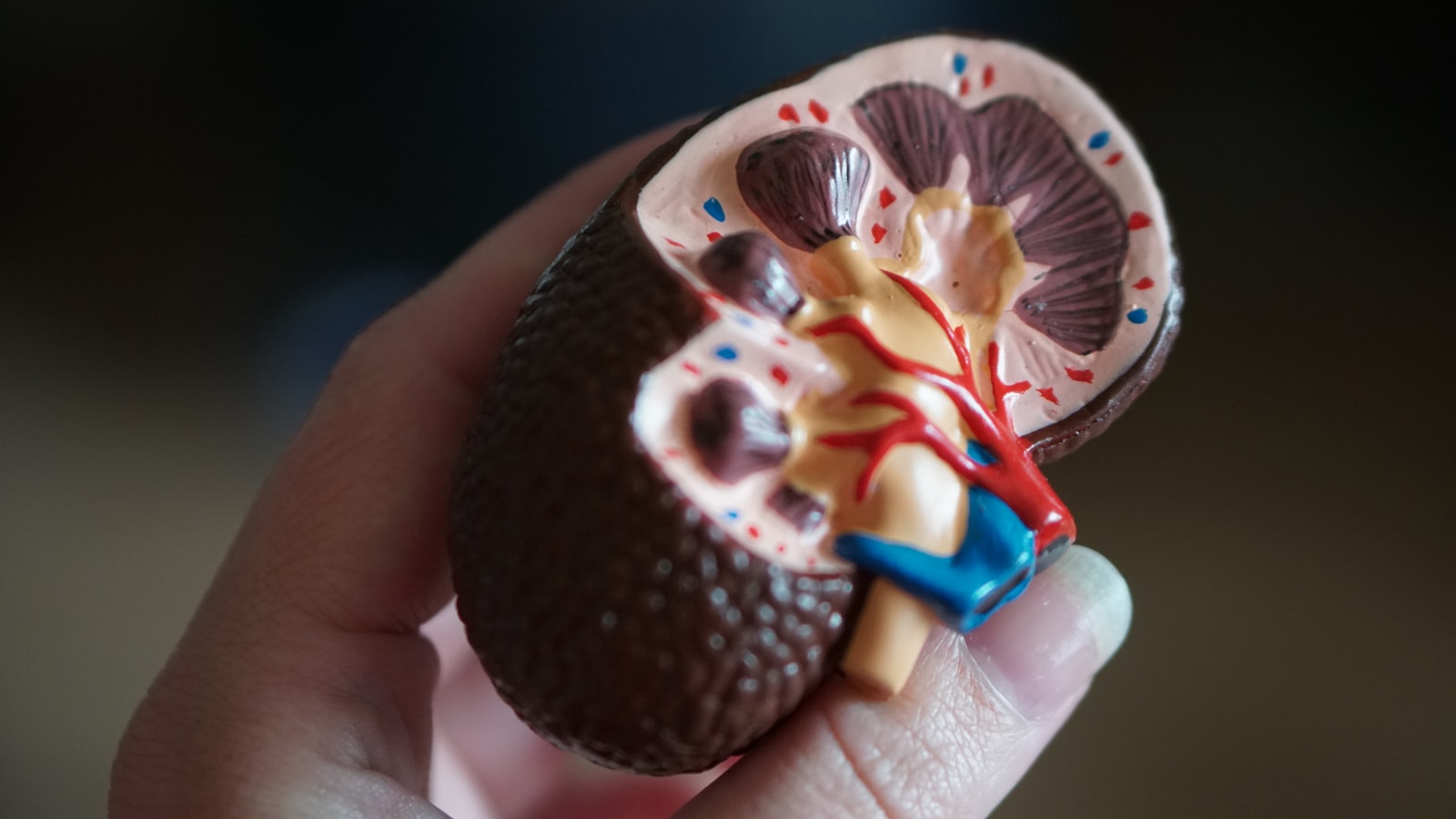 Kidney Disease
