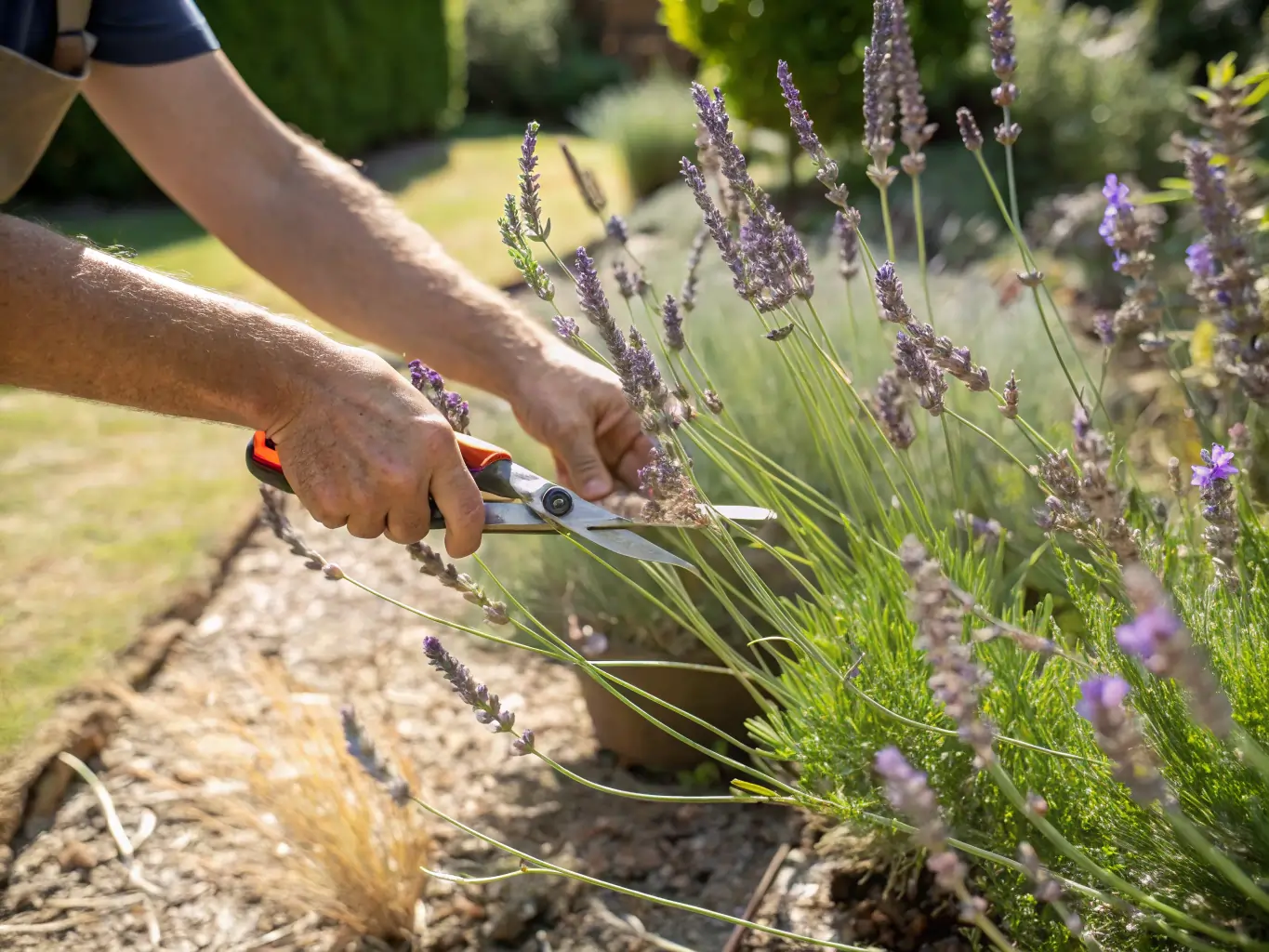 worst ways prune