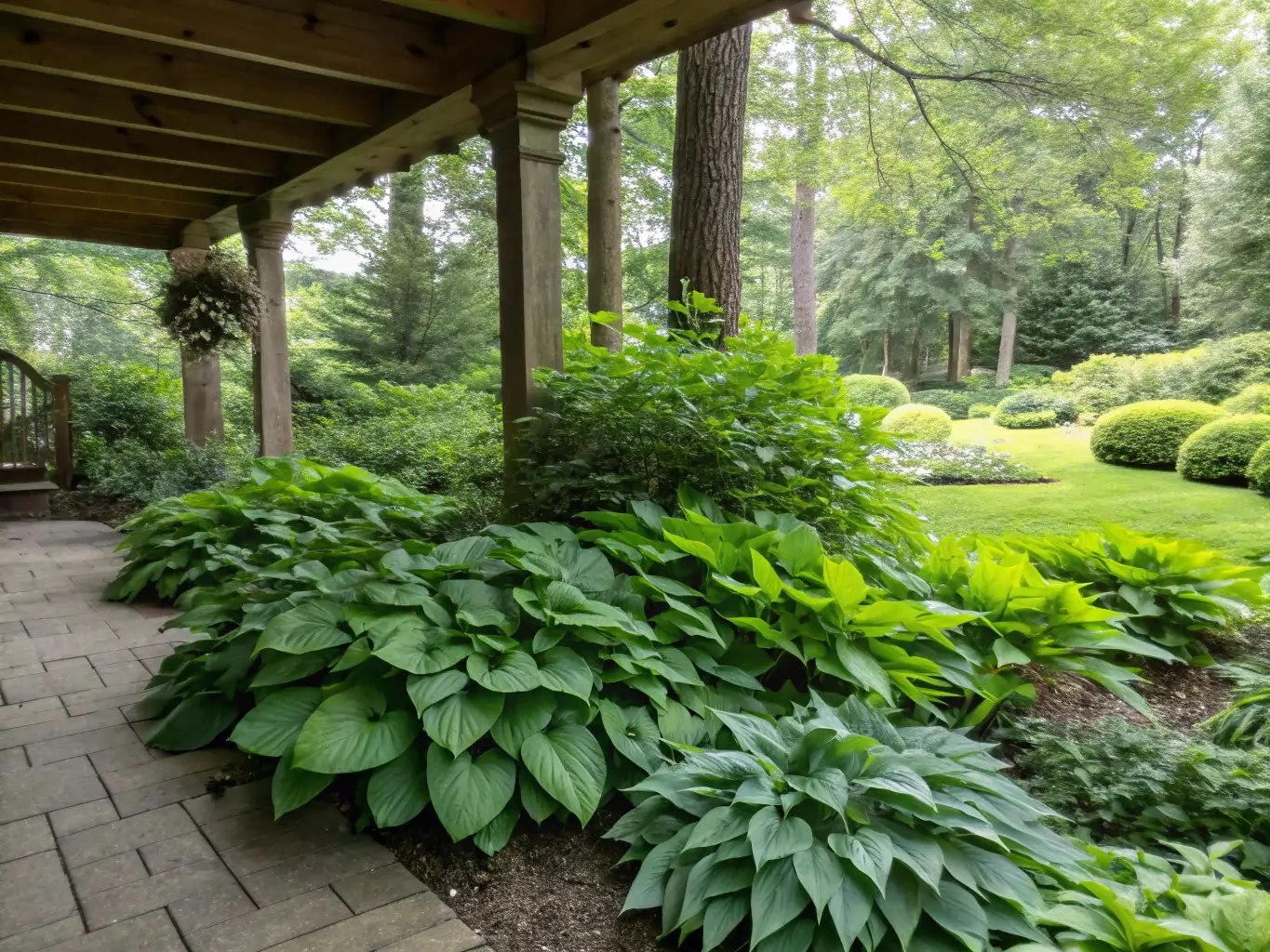 10 Stunning Shade Plants Evergreen That Thrive in Small Spaces 3 stunning shade plants