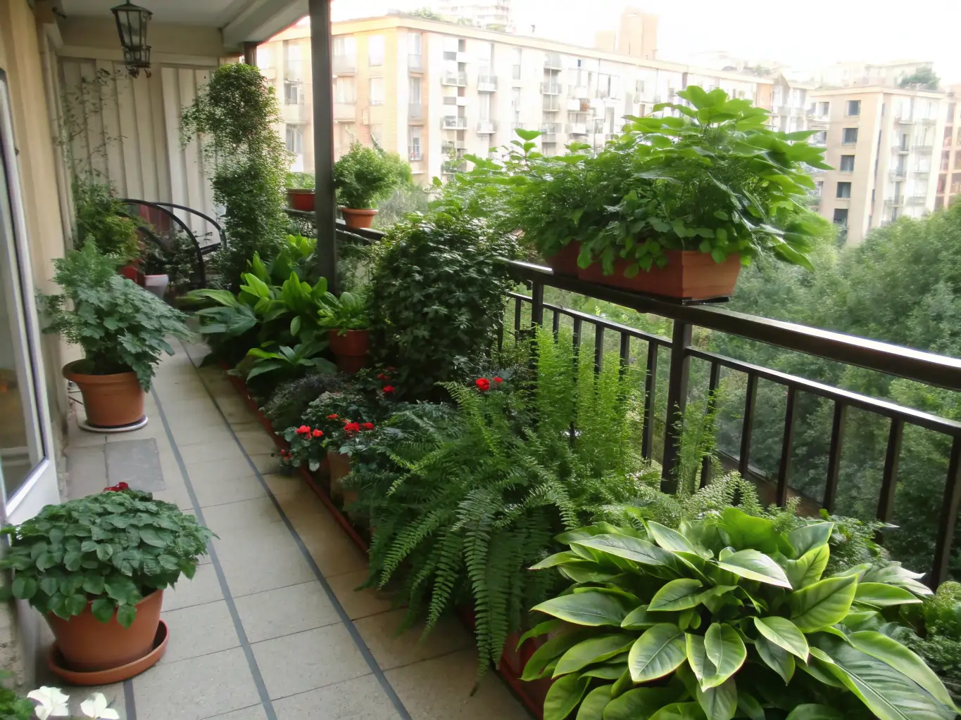 10 Stunning Shade Plants for Your Boring Balcony 1 stunning shade plants