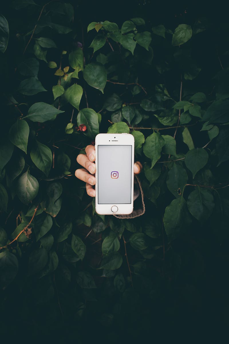 Instagram Panel Services
