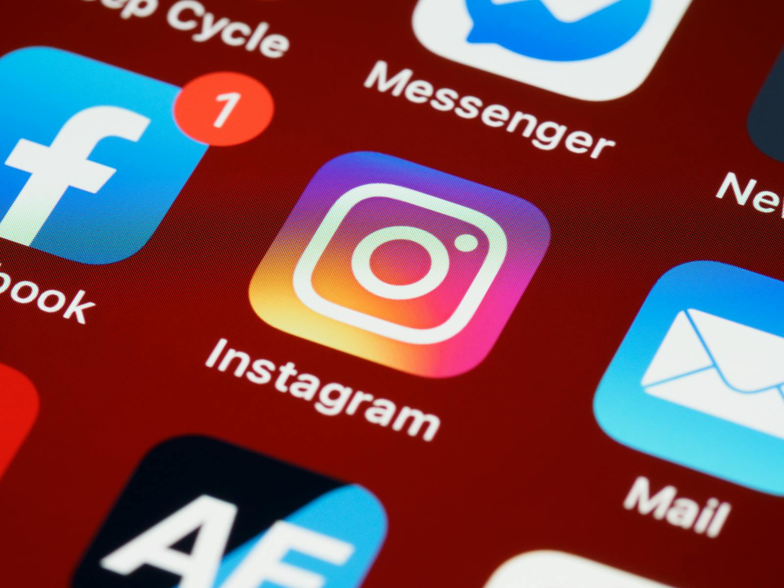 Instagram Panel Services