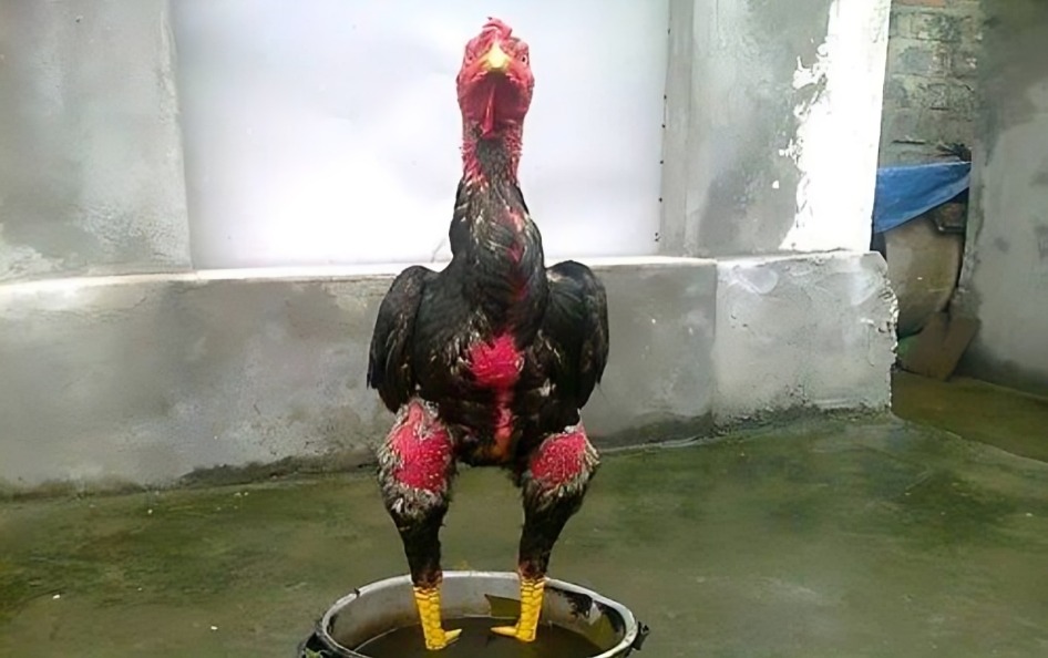 Cach lam sach sau khi dung nghe 2.jpg