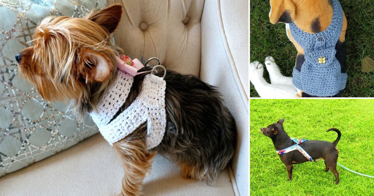 crochet dog harness