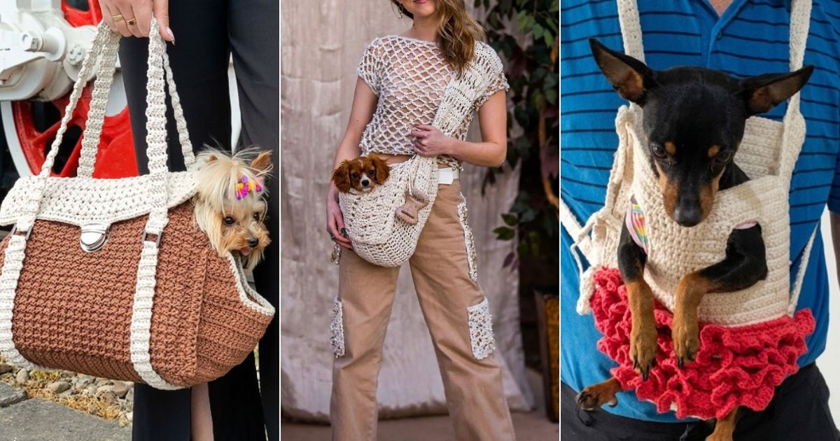 crochet pet carrier