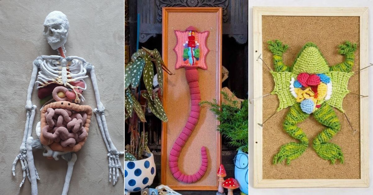 Dissected Toys