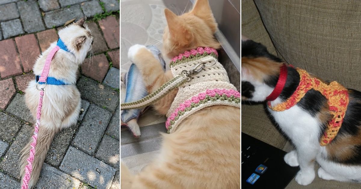 crochet cat harness