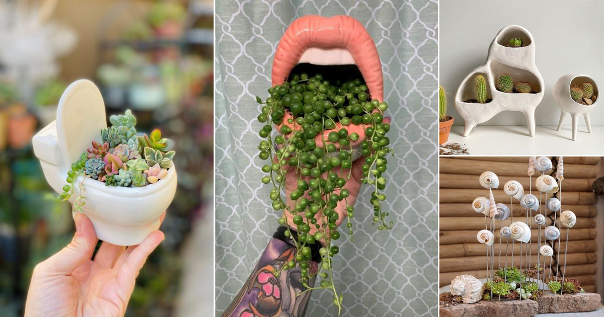 cute succulent arrangements