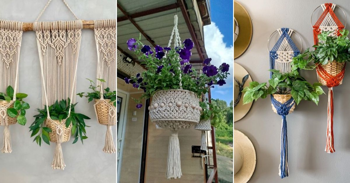 15 Best Macrame Plant Holders for Hanging Houseplants 3 best macrame plant