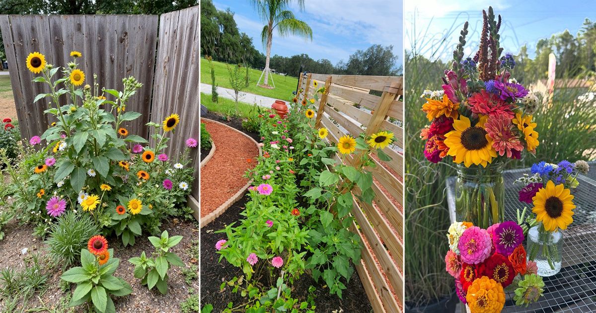 sunflower zinnia arrangement