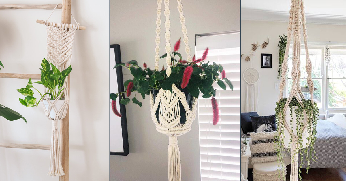 indoor plants grow