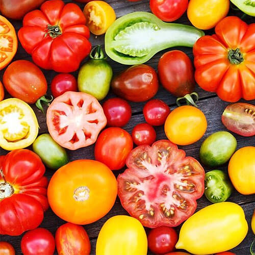 50+ Tomato Recipes (from breakfast to dinner) 4 tomato recipes breakfast