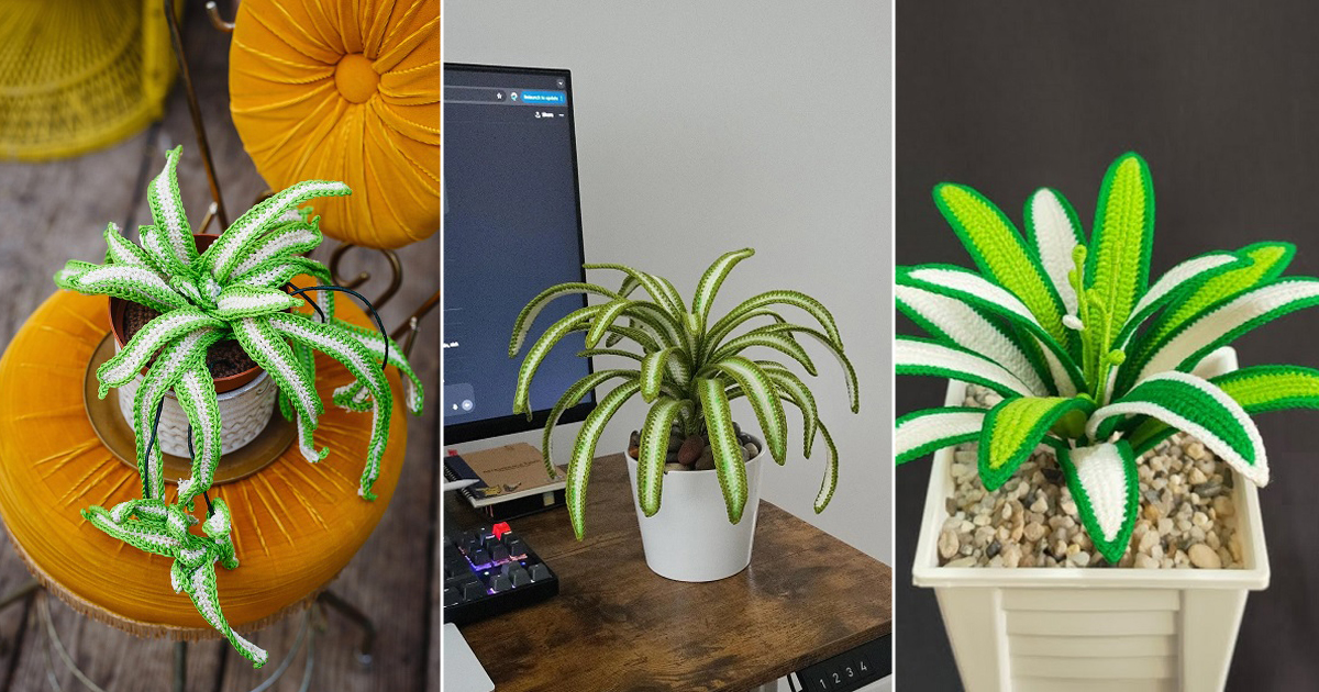 7 Free Crochet Spider Plant Patterns That Look Amazingly Real 5 free crochet spider