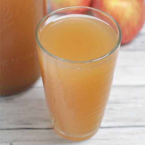 Fizzy Apple Cider Switchel (VAD) 9 fizzy apple cider