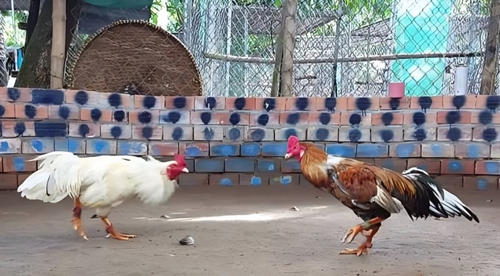 Chi tiet bang mau mang ga da theo tung menh 2.jpg