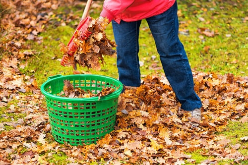 Clean it Up 1.jpg