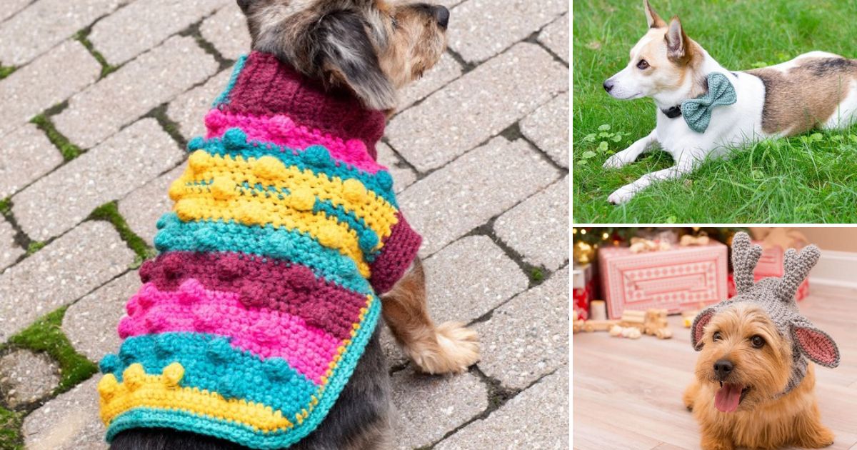 crochet dog accessories