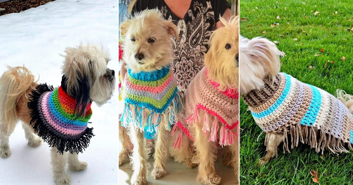 crochet dog poncho