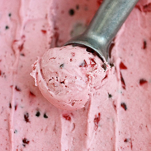 40 Deliciously Dairy-Free Ice Cream Recipes (THM options!) 8 deliciously dairyfree ice