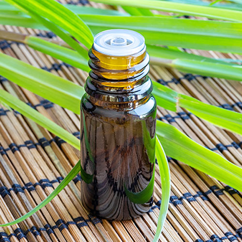 6 Essential Oils For Candida (+ Oral Thrush Mouthwash Recipe!) 8 essential oils candida