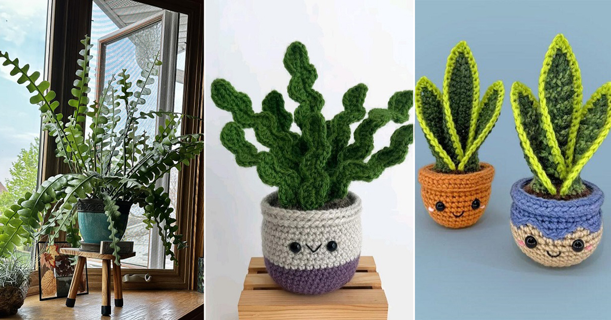 gorgeous crochet succulents