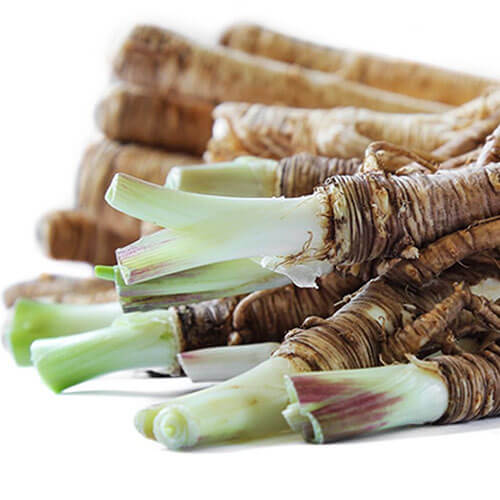 Best Herbs For Women (PMS, menopause, fertility & more!) 5 best herbs women